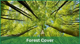 How Forests Helps in Achieving SDG Goals image
