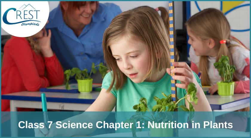 Class 7 Science Chapter 1: Nutrition in Plants - Notes PDF