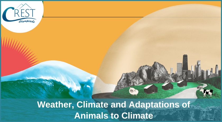 Weather Climate and Adaptations of Animals to Climate - Class 7 Notes