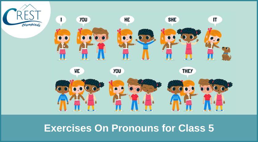 Exercises on Pronouns for Class 5