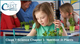 Class 7 Science Chapter 1: Nutrition in Plants - Notes PDF image