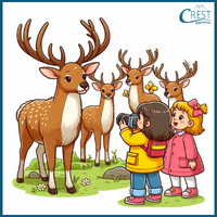 Deer for Class 2