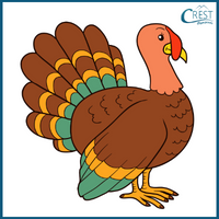 Turkey for Class 2