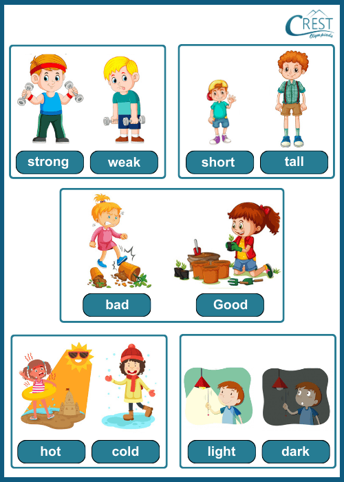 Antonyms