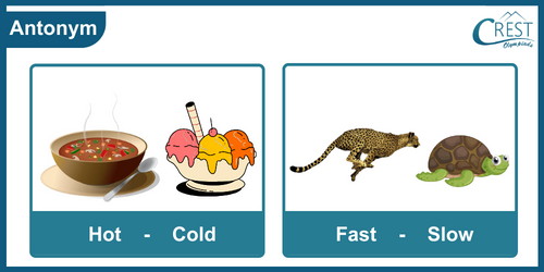 Antonyms Examples