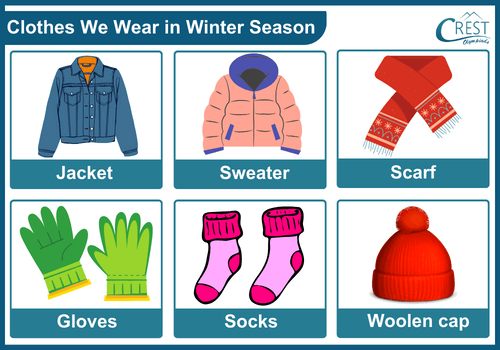 Winter Season Clothes