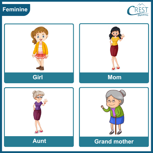 Feminine Gender for KG