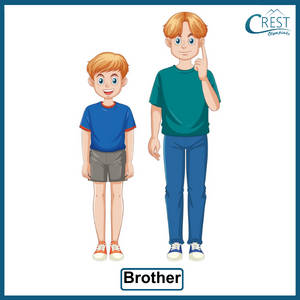 Gender - Brother