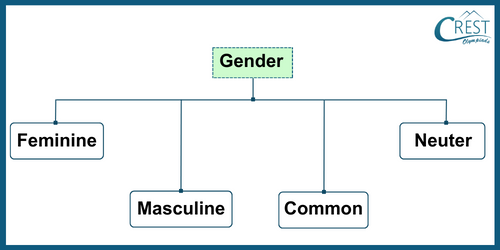 Types of Gender