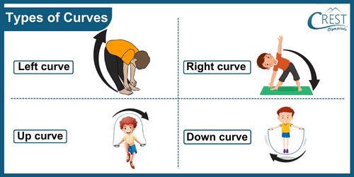 Different Types of Curves