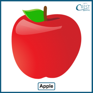 Countable Noun - Apple