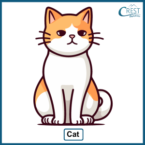 Common Noun - Cat