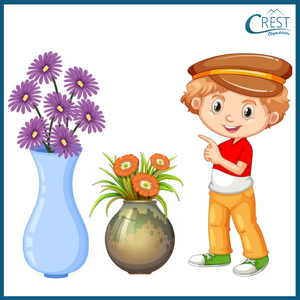 Countable Noun - Flower Vases 