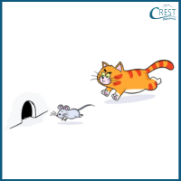 Noun Questions - Cat running after a mouse
