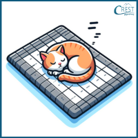 Noun Questions - Cat on the mat