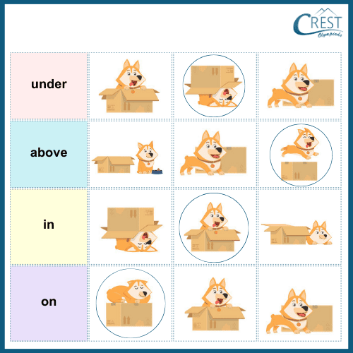 Prepositions for Kindergarden