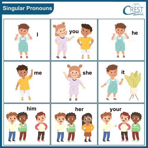 Singular Pronouns Examples