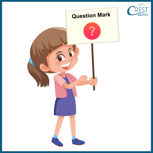 Punctuation Class 6 - Use of Question mark