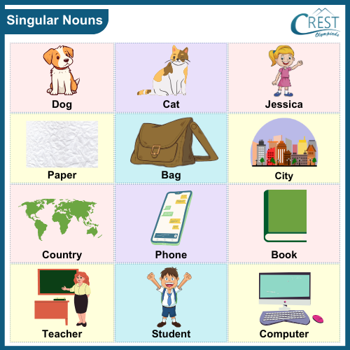 Singular Vs Plural Noun - ESL worksheet by pristineestorque1010@gmail.com