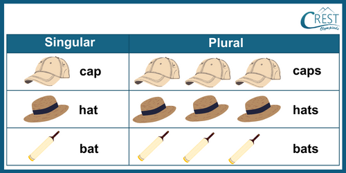 Rules to Change Singular to Plural for Class 1