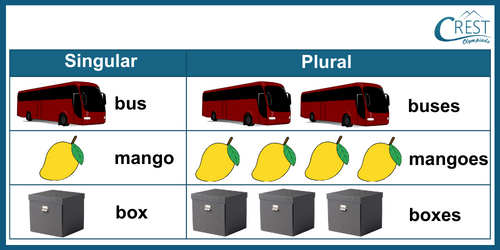 Rules to Change Singular to Plural for Students