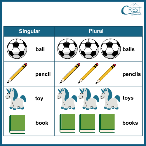 Singular and Plural Words for Class 1