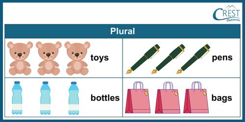 Plural Words for Class 2