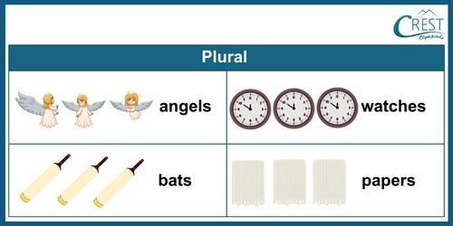 Plural Words for Class 3