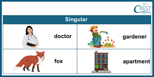 Singular Words for Class 3