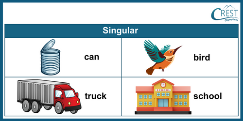 Singular Words for Class 4