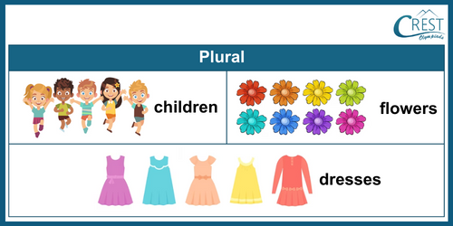 Plural Words for Class 5