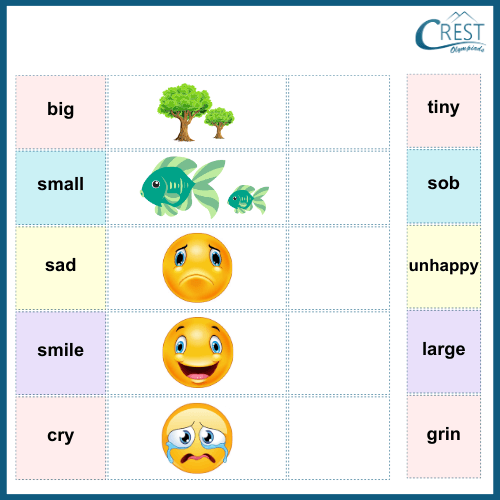 Synonyms for KG Students