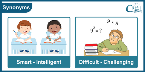 Synonyms for Class 3 Examples