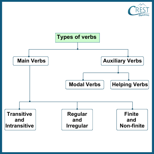 Verbs Class 6