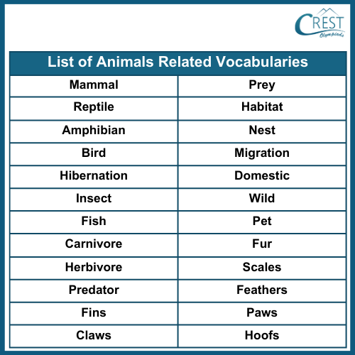 Vocabulary Related to Animals for Class 4