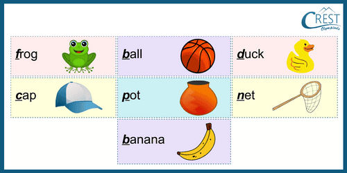 Vowels and Consonants for Grade KG