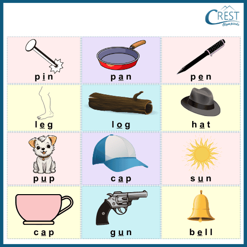 Vowels and Consonants for Students