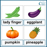 Word Pairs and Odd One Out for Class 1