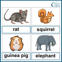 Word Pairs and Odd One Out for Class 1