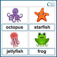 Word Pairs and Odd One Out for Class 1