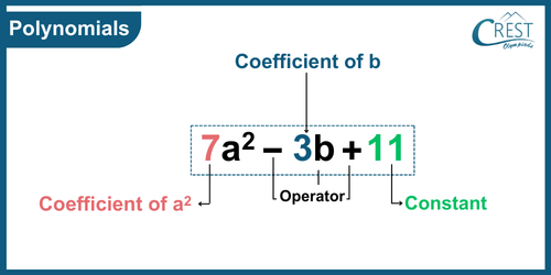 cmo-algebra-c6-3