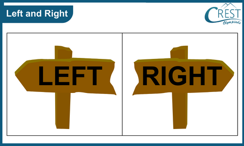 Comparision for kg grade - Left and Right