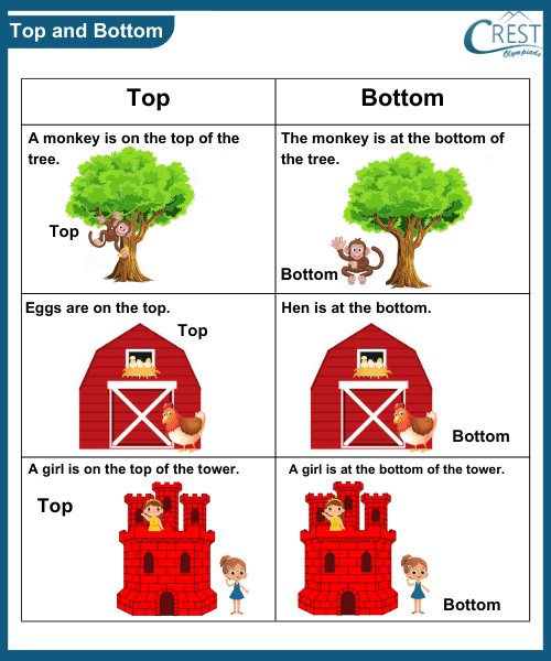 Comparision for kg grade - Explanation of Top and Bottom