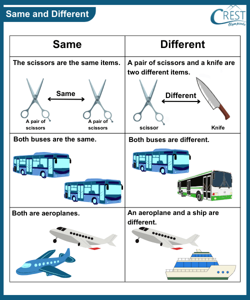 Comparision for kg grade - Explanation of Same and Different