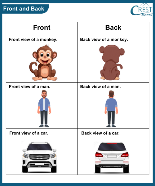 Comparision for kg grade - Front and Back