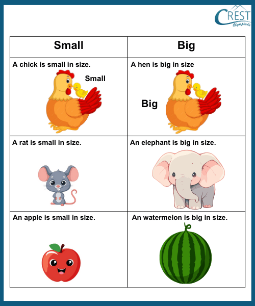 Comparision for kg grade - Explanantion of Small and Big