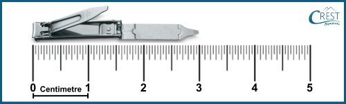 cmo-length-c3-2