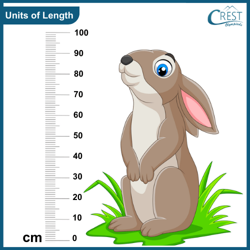 cmo-length-c5-2