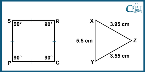 cmo-mensuration-c6-5