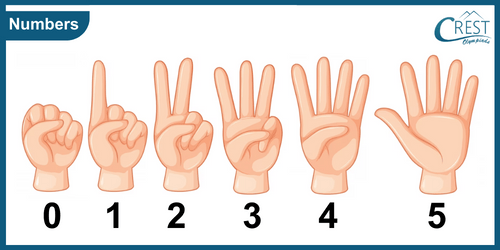 Counting using fingers